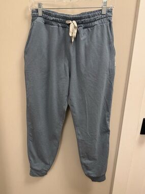Vuori Blue Drawstring Jogger Pants S